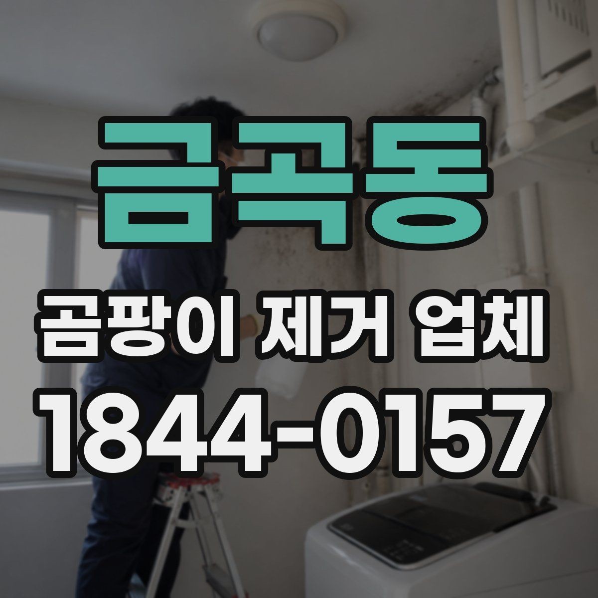 금곡동 곰팡이 제거 업체 작업 전 확인해야 할 안전 사항