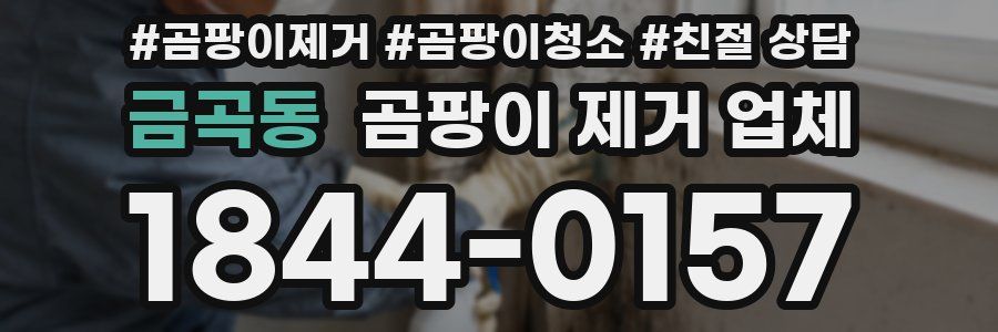 금곡동 곰팡이 제거 업체