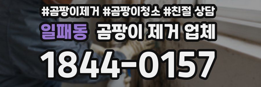 일패동 곰팡이 제거 업체