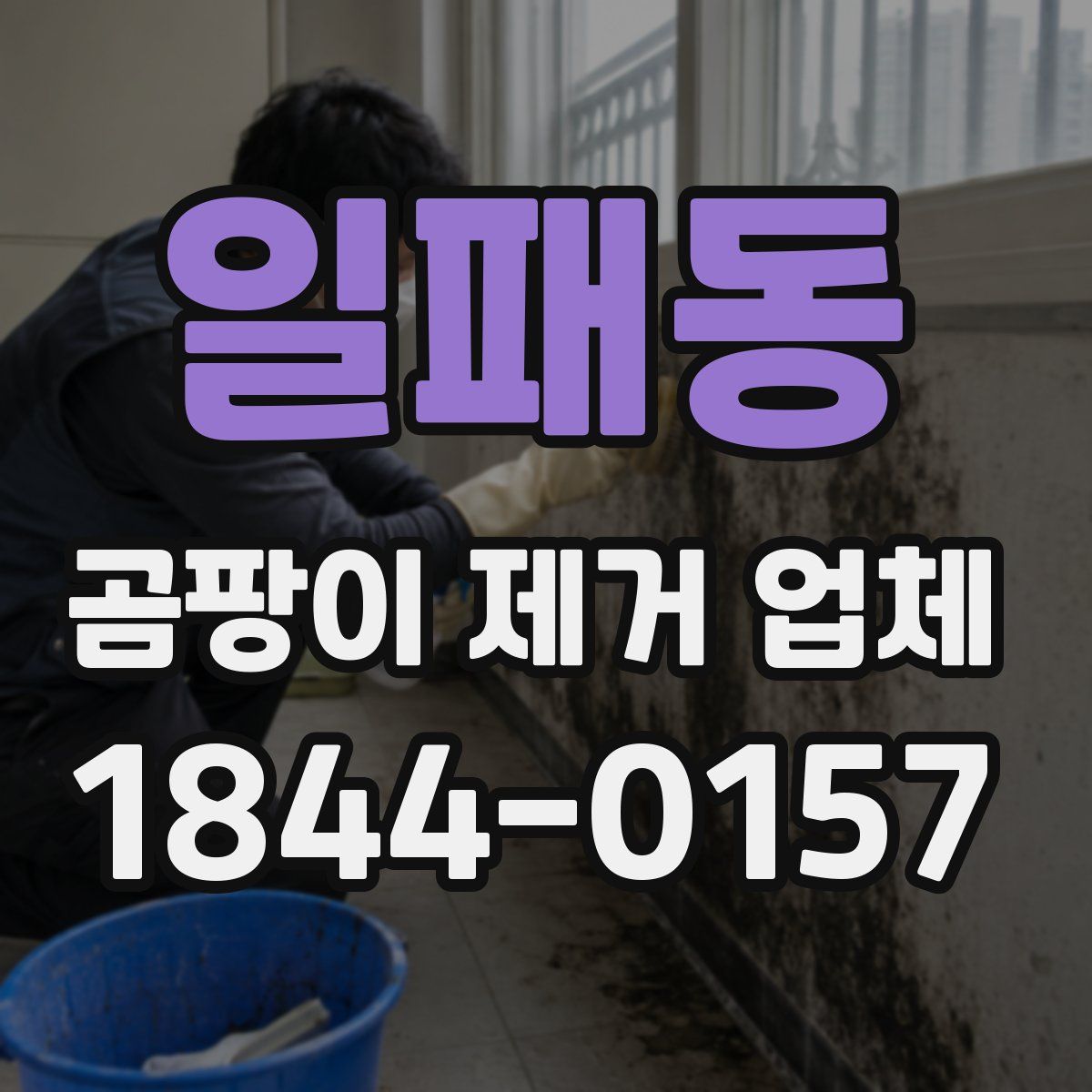 일패동 곰팡이 제거 업체