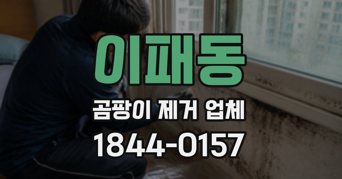 이패동 곰팡이 제거 업체