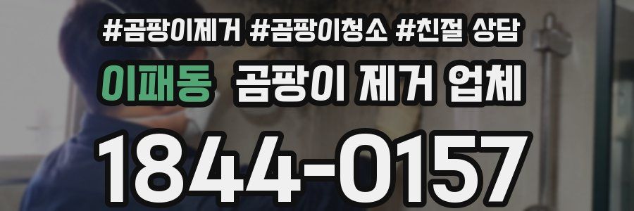 이패동 곰팡이 제거 업체