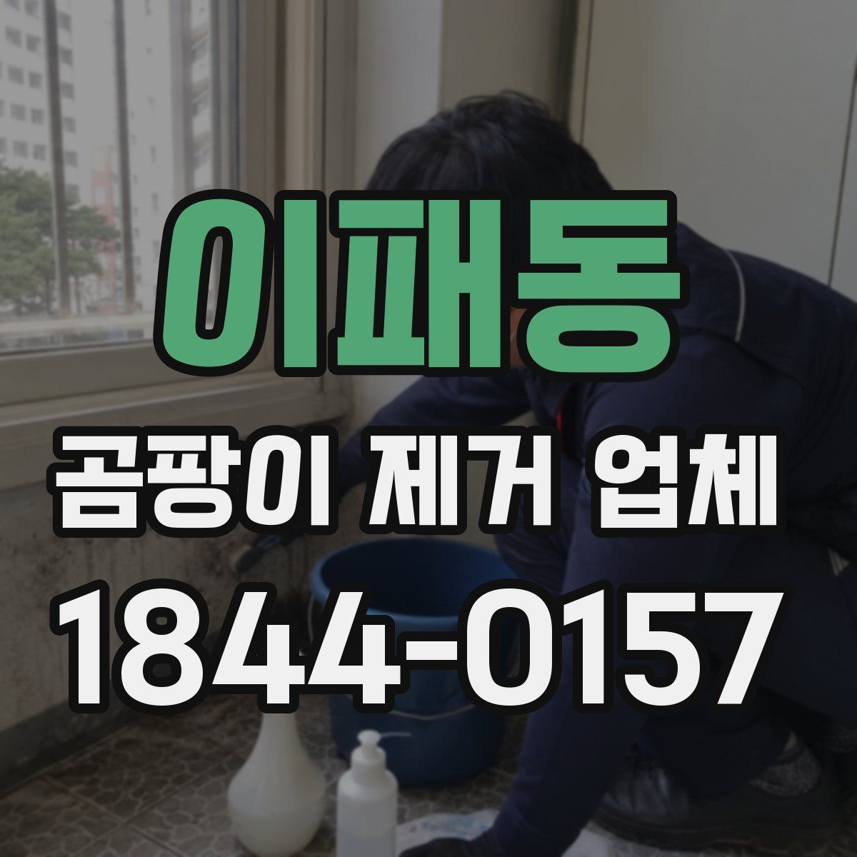 이패동 곰팡이 제거 업체