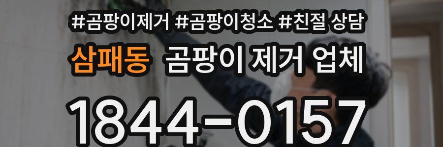 삼패동 곰팡이 제거 업체