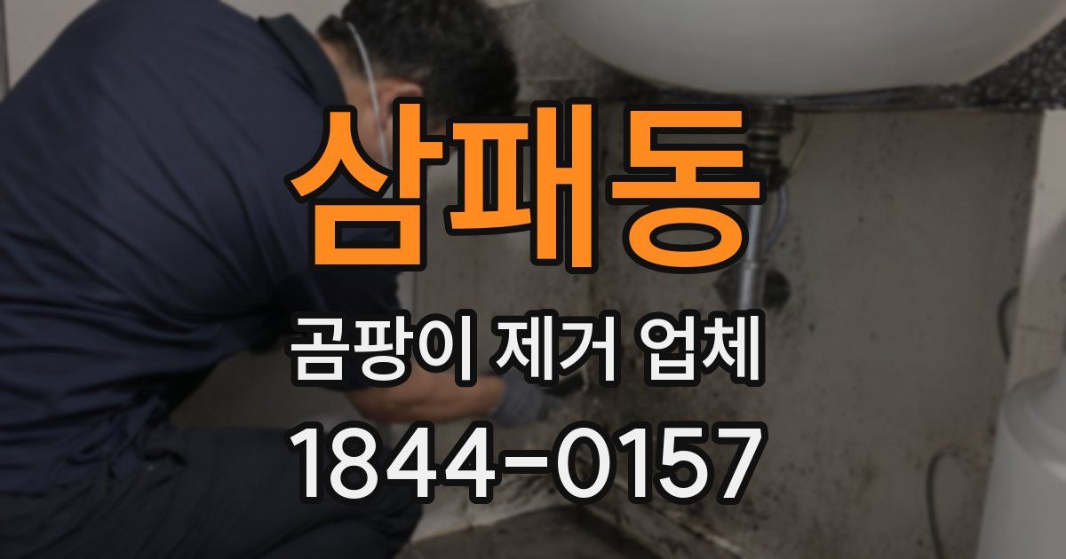 삼패동 곰팡이 제거 업체