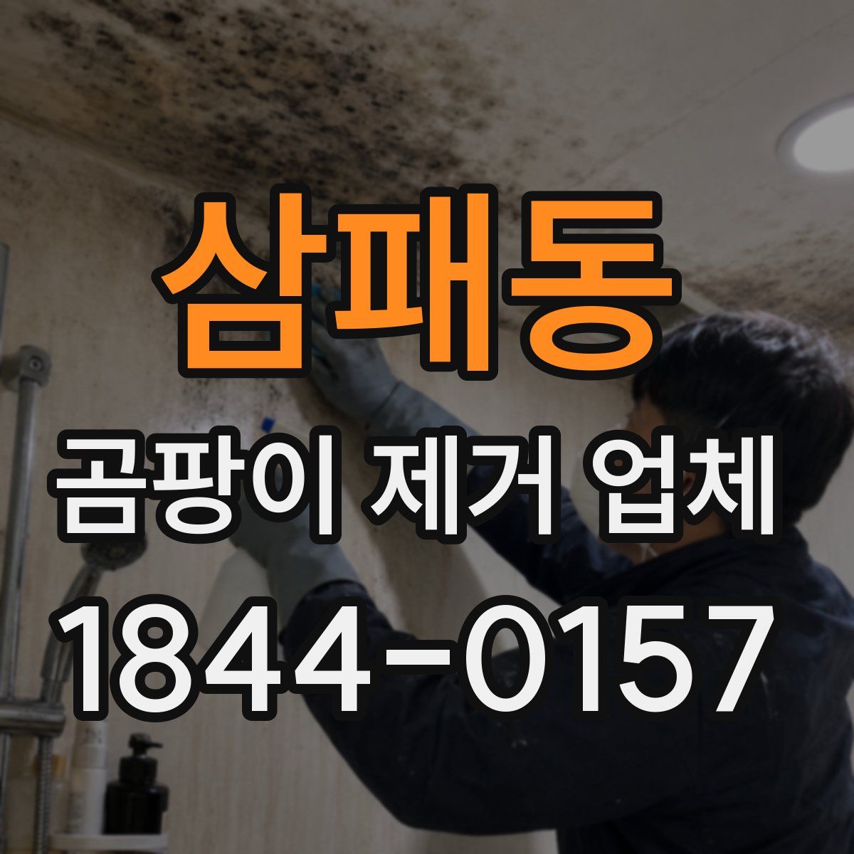 삼패동 곰팡이 제거 업체