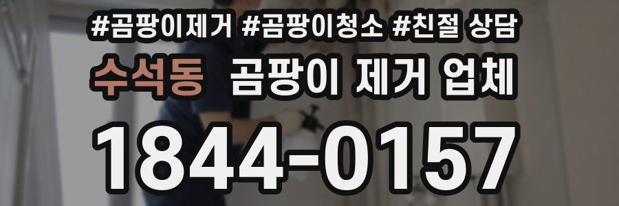 수석동 곰팡이 제거 업체