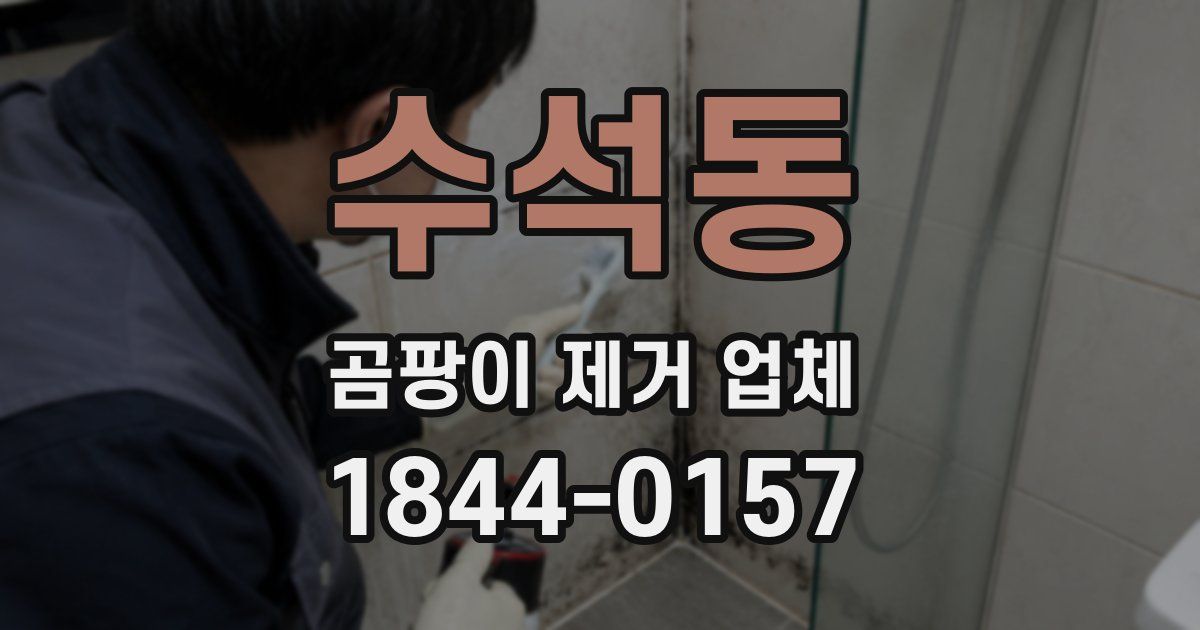 수석동 곰팡이 제거 업체