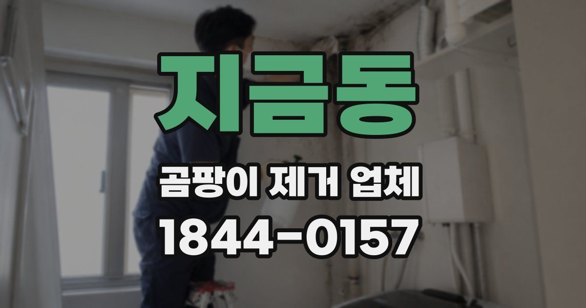 지금동 곰팡이 제거 업체