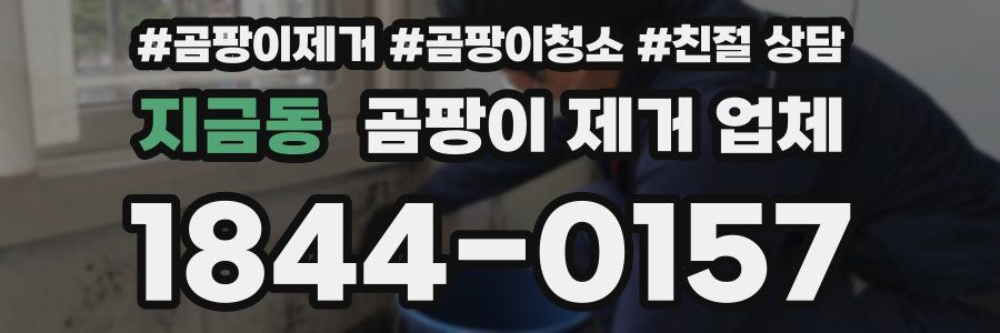 지금동 곰팡이 제거 업체