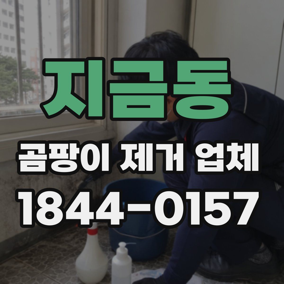 지금동 곰팡이 제거 업체