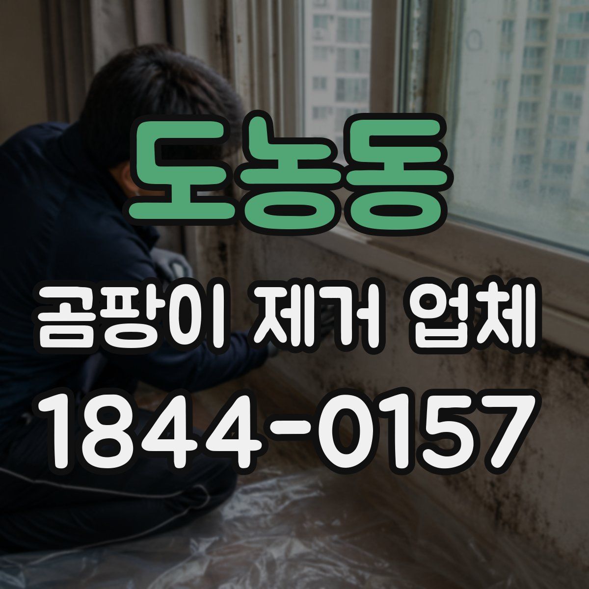 도농동 곰팡이 제거 업체