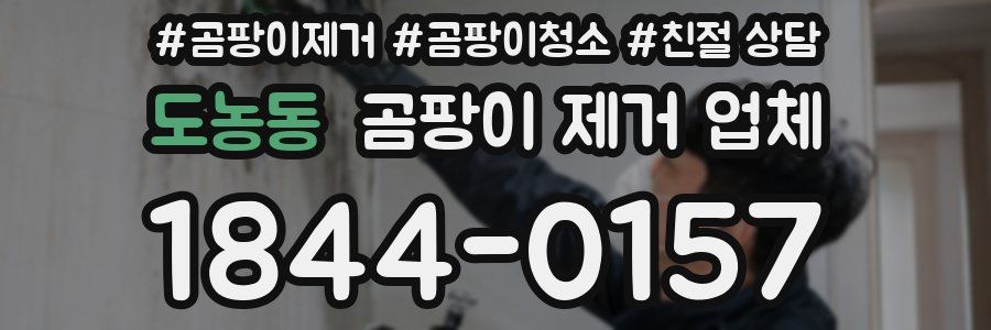 도농동 곰팡이 제거 업체