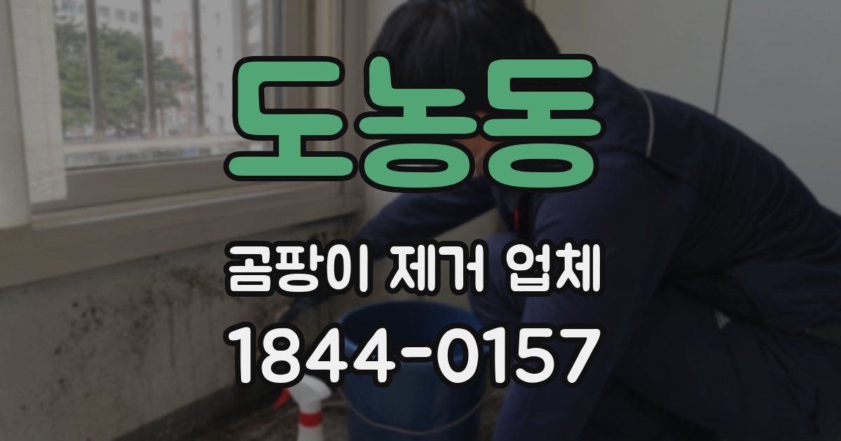 도농동 곰팡이 제거 업체