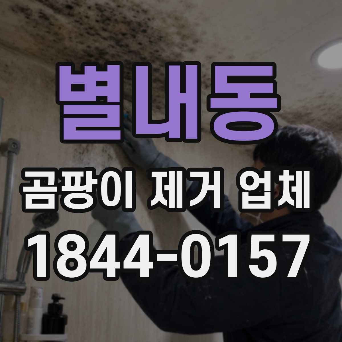 별내동 곰팡이 제거 업체