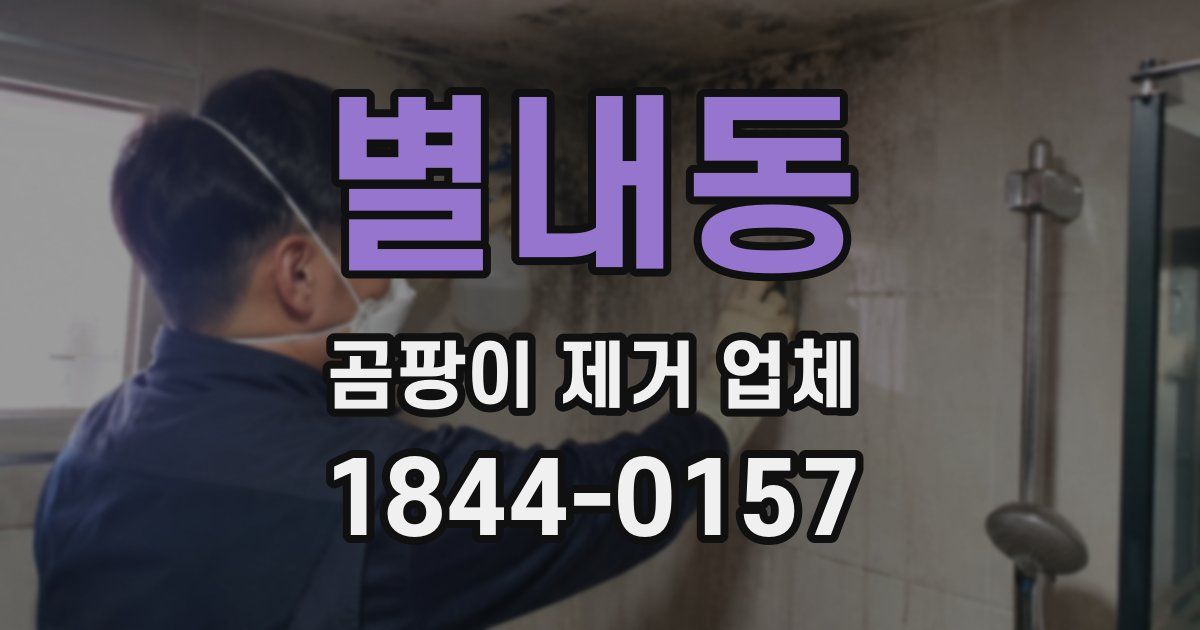 별내동 곰팡이 제거 업체