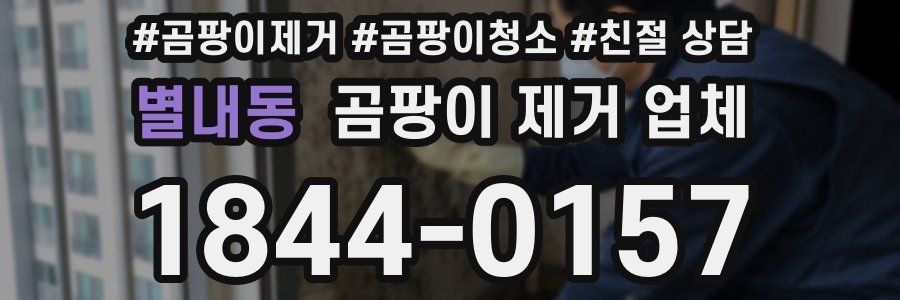 별내동 곰팡이 제거 업체