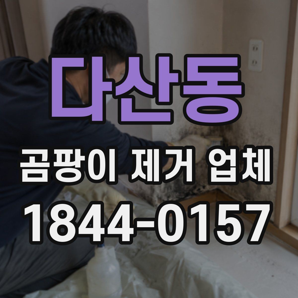 다산동 곰팡이 제거 업체 선택 기준을 상황별로 정리