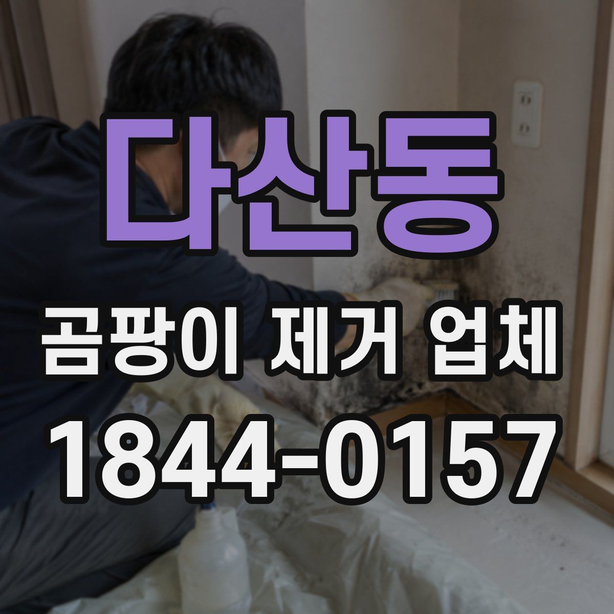 다산동 곰팡이 제거 업체