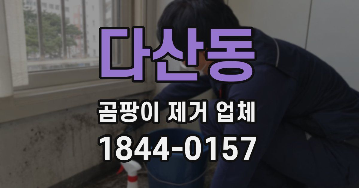 다산동 곰팡이 제거 업체