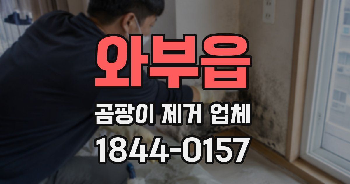 와부읍 곰팡이 제거 업체