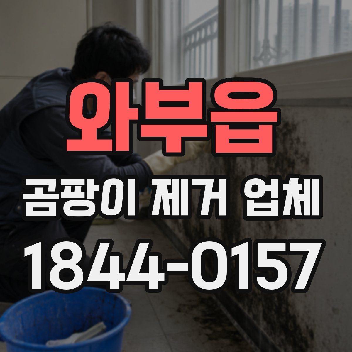 와부읍 곰팡이 제거 업체