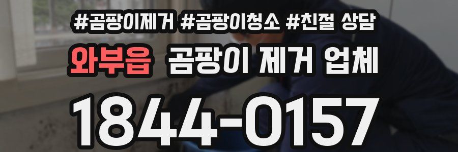 와부읍 곰팡이 제거 업체