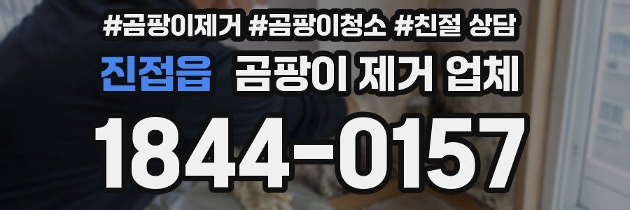 진접읍 곰팡이 제거 업체