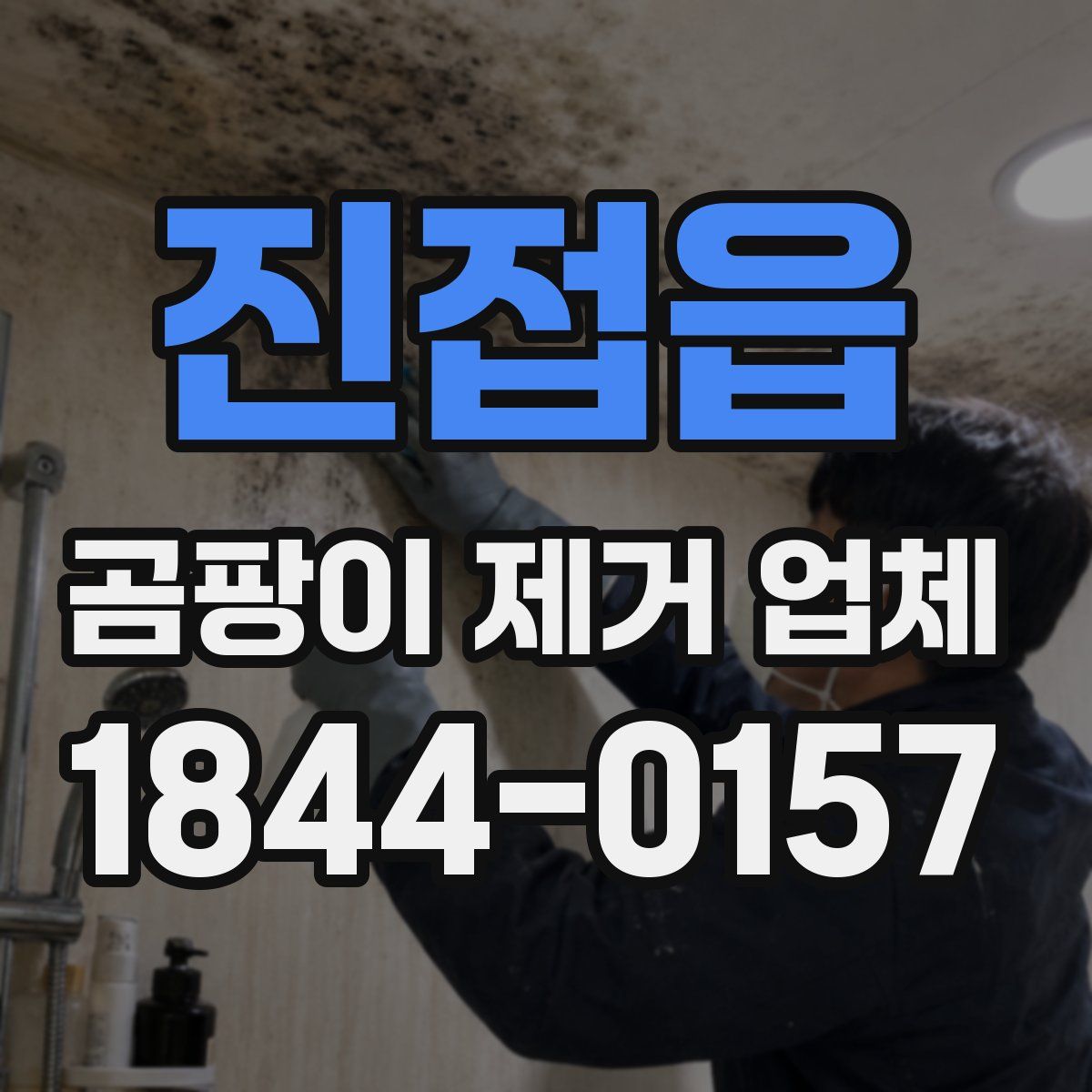 진접읍 곰팡이 제거 업체