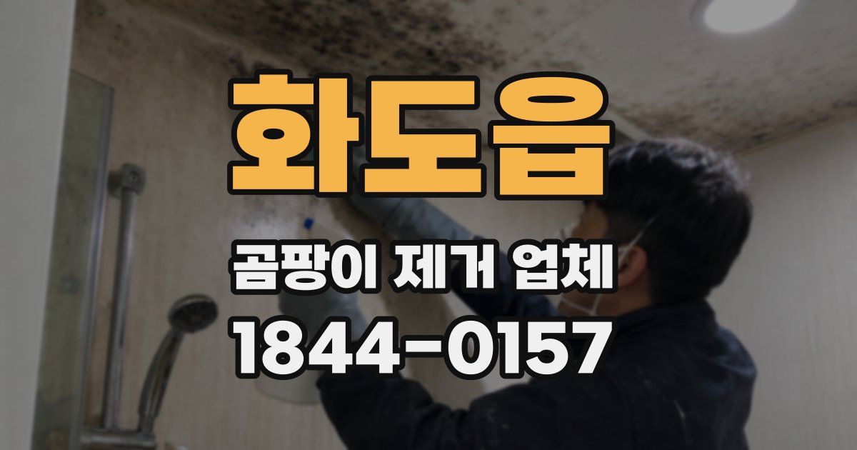 화도읍 곰팡이 제거 업체