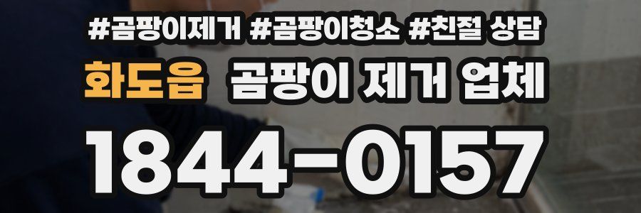 화도읍 곰팡이 제거 업체