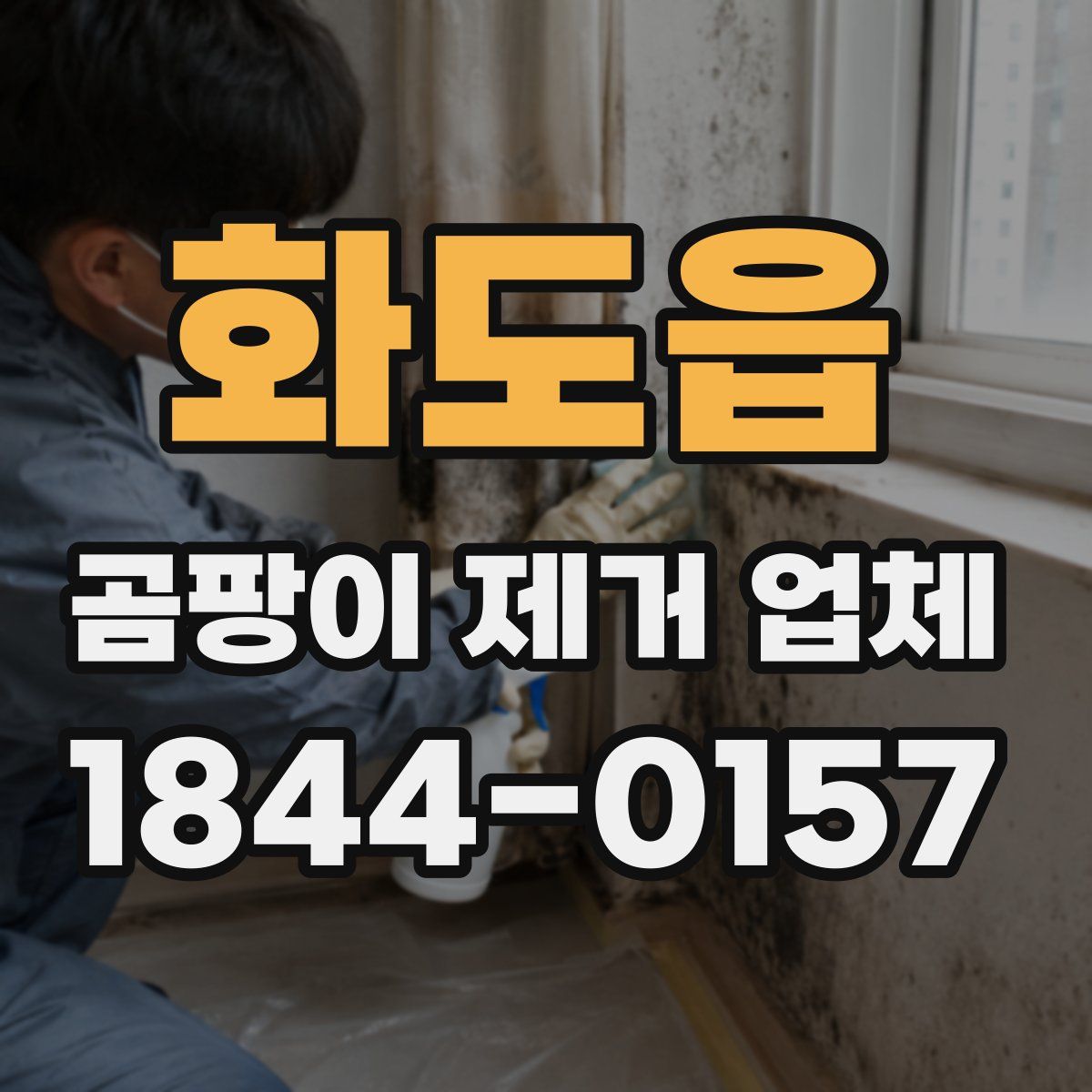 화도읍 곰팡이 제거 업체