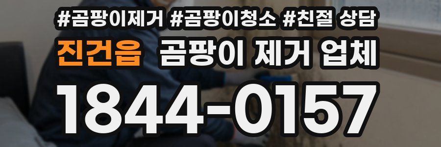 진건읍 곰팡이 제거 업체