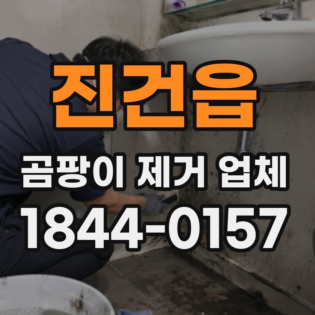 진건읍 곰팡이 제거 업체