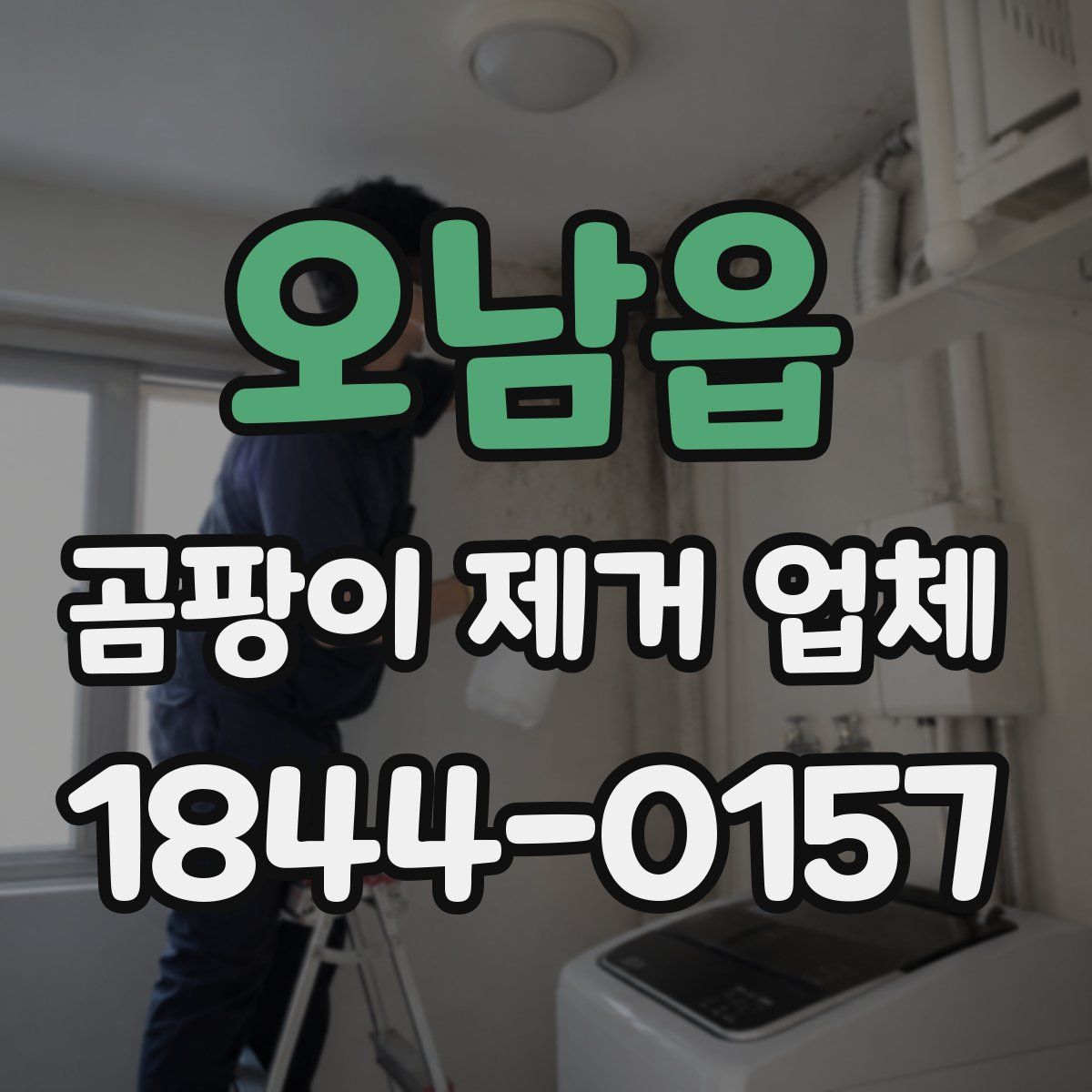 오남읍 곰팡이 제거 업체