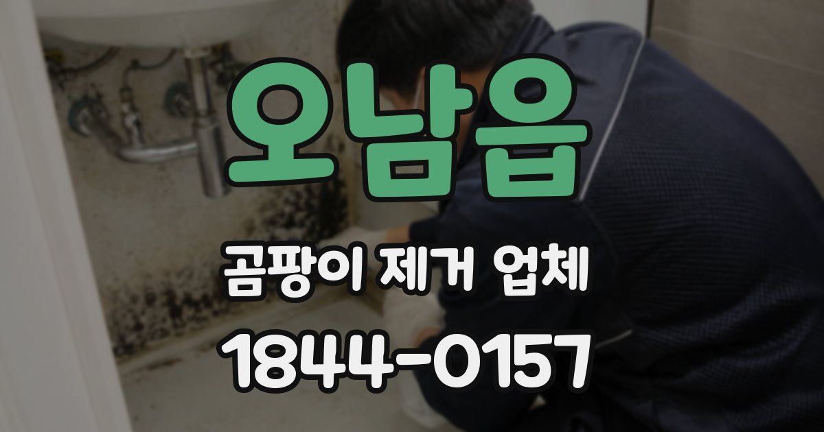오남읍 곰팡이 제거 업체