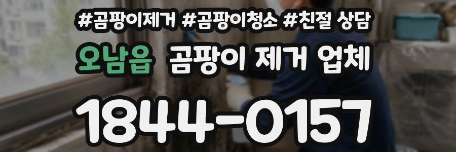 오남읍 곰팡이 제거 업체