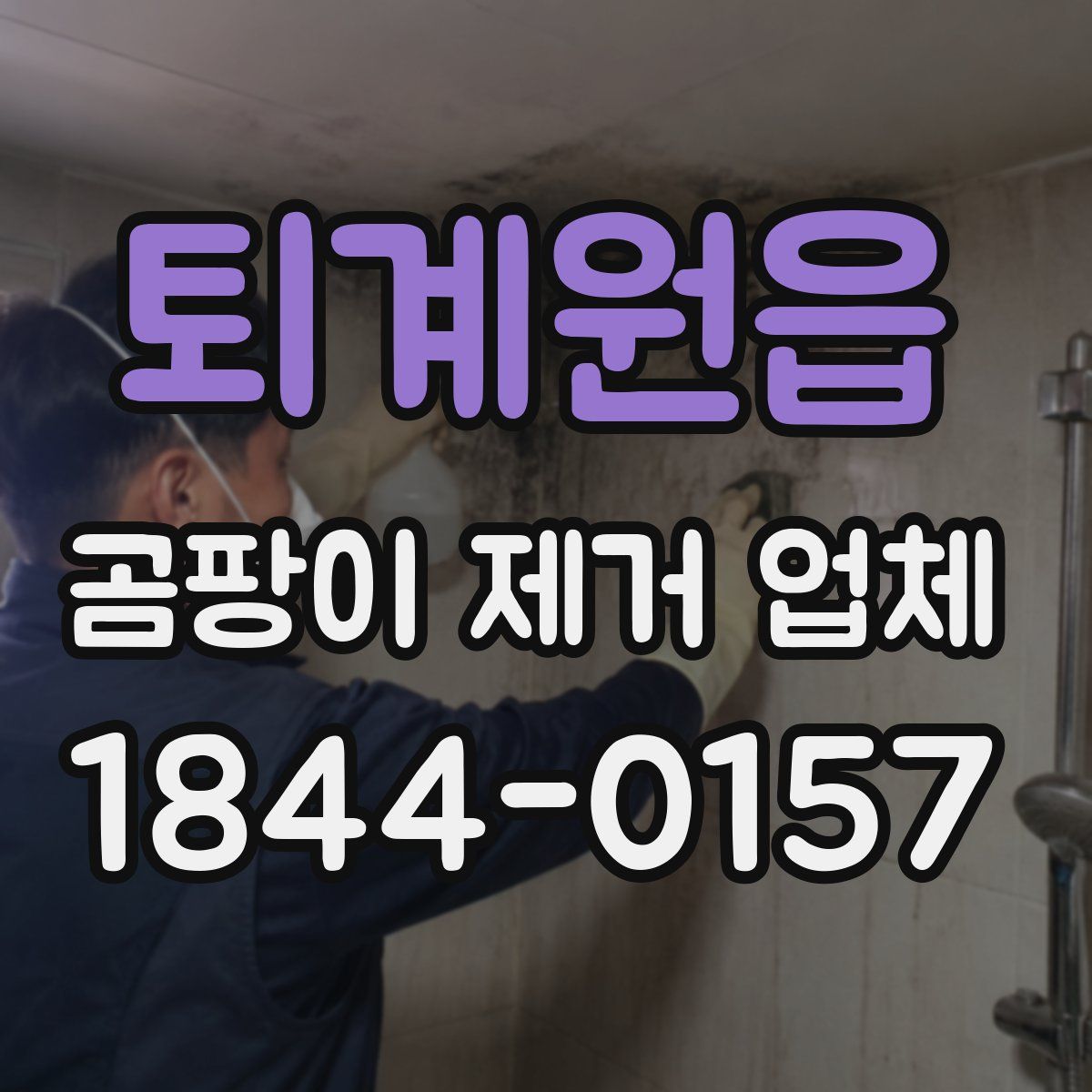 퇴계원읍 곰팡이 제거 업체