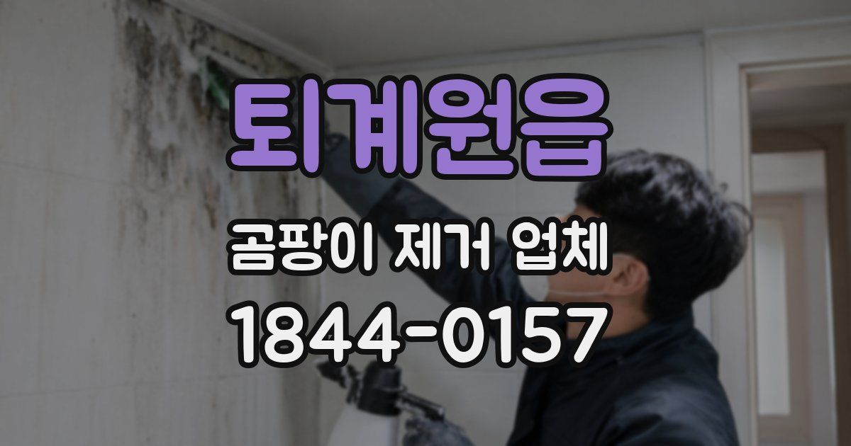 퇴계원읍 곰팡이 제거 업체