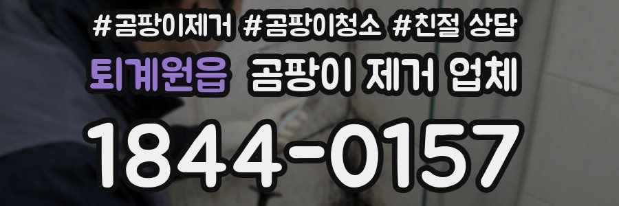 퇴계원읍 곰팡이 제거 업체