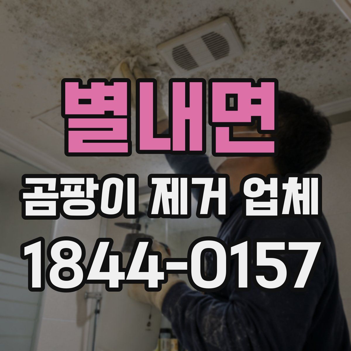 별내면 곰팡이 제거 업체