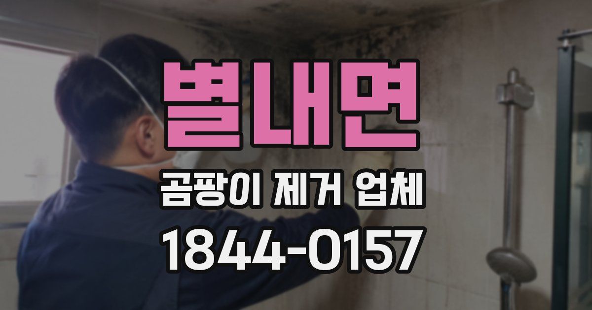 별내면 곰팡이 제거 업체