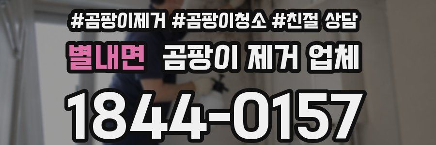 별내면 곰팡이 제거 업체