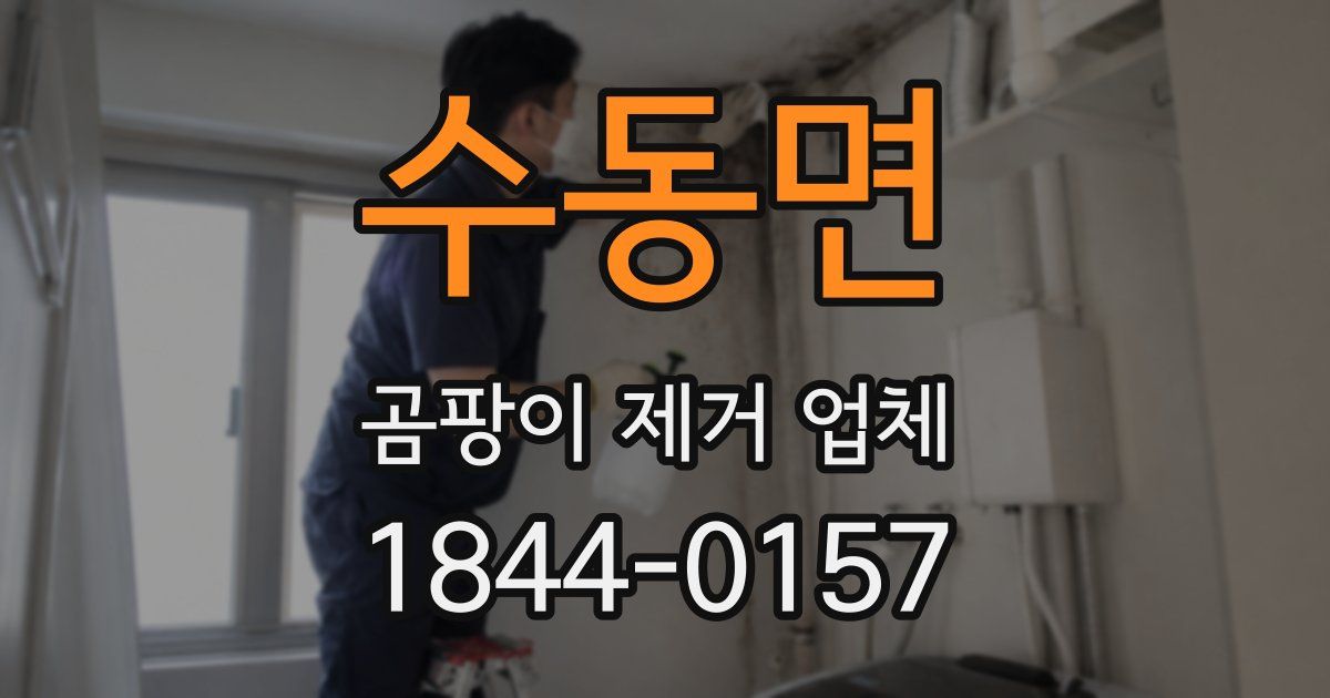 수동면 곰팡이 제거 업체