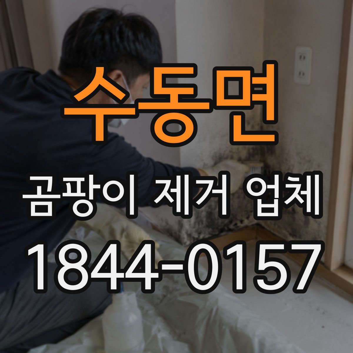 수동면 곰팡이 제거 업체