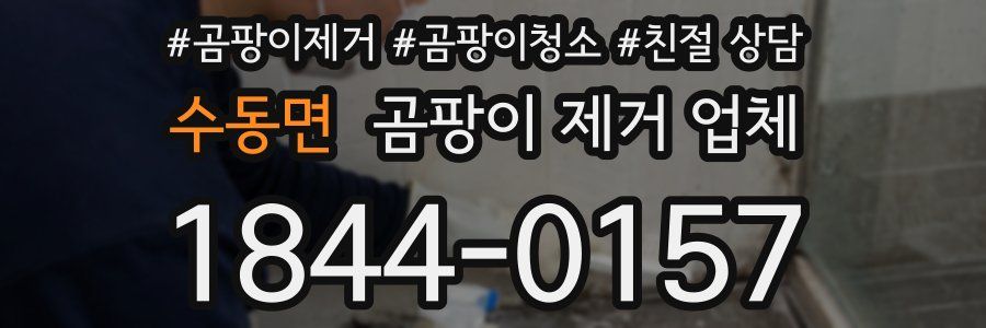 수동면 곰팡이 제거 업체