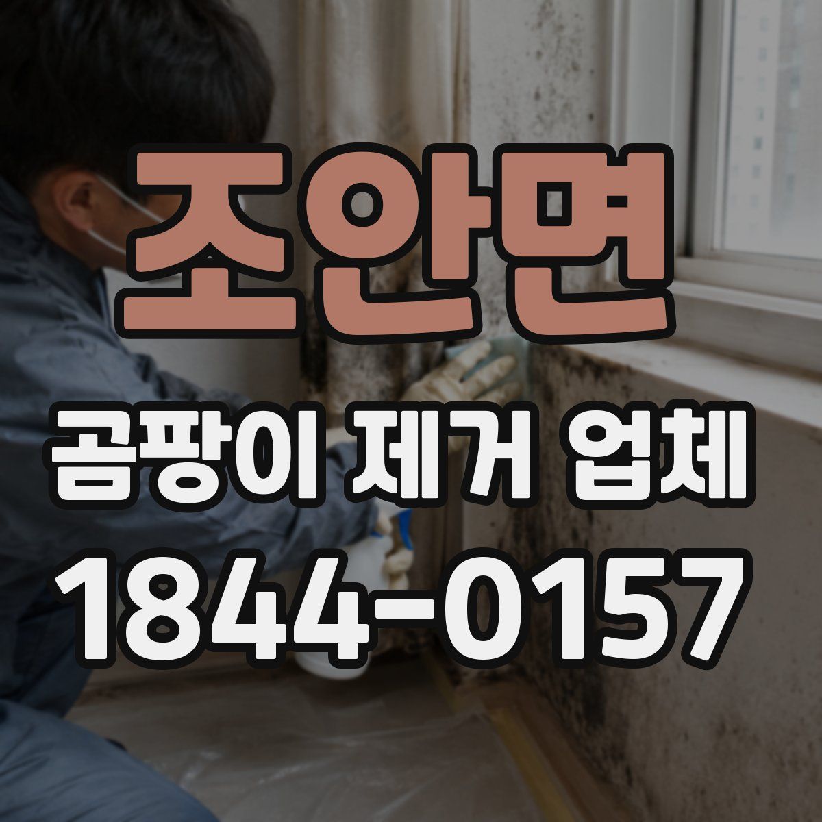 조안면 곰팡이 제거 업체