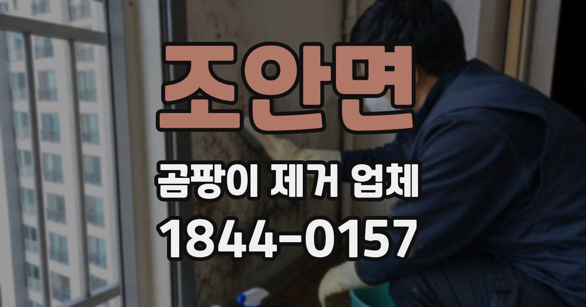 조안면 곰팡이 제거 업체