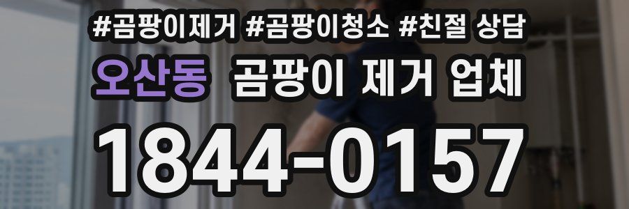 오산동 곰팡이 제거 업체