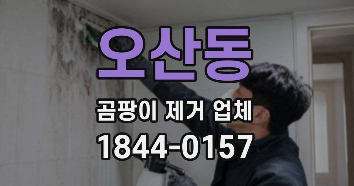 오산동 곰팡이 제거 업체